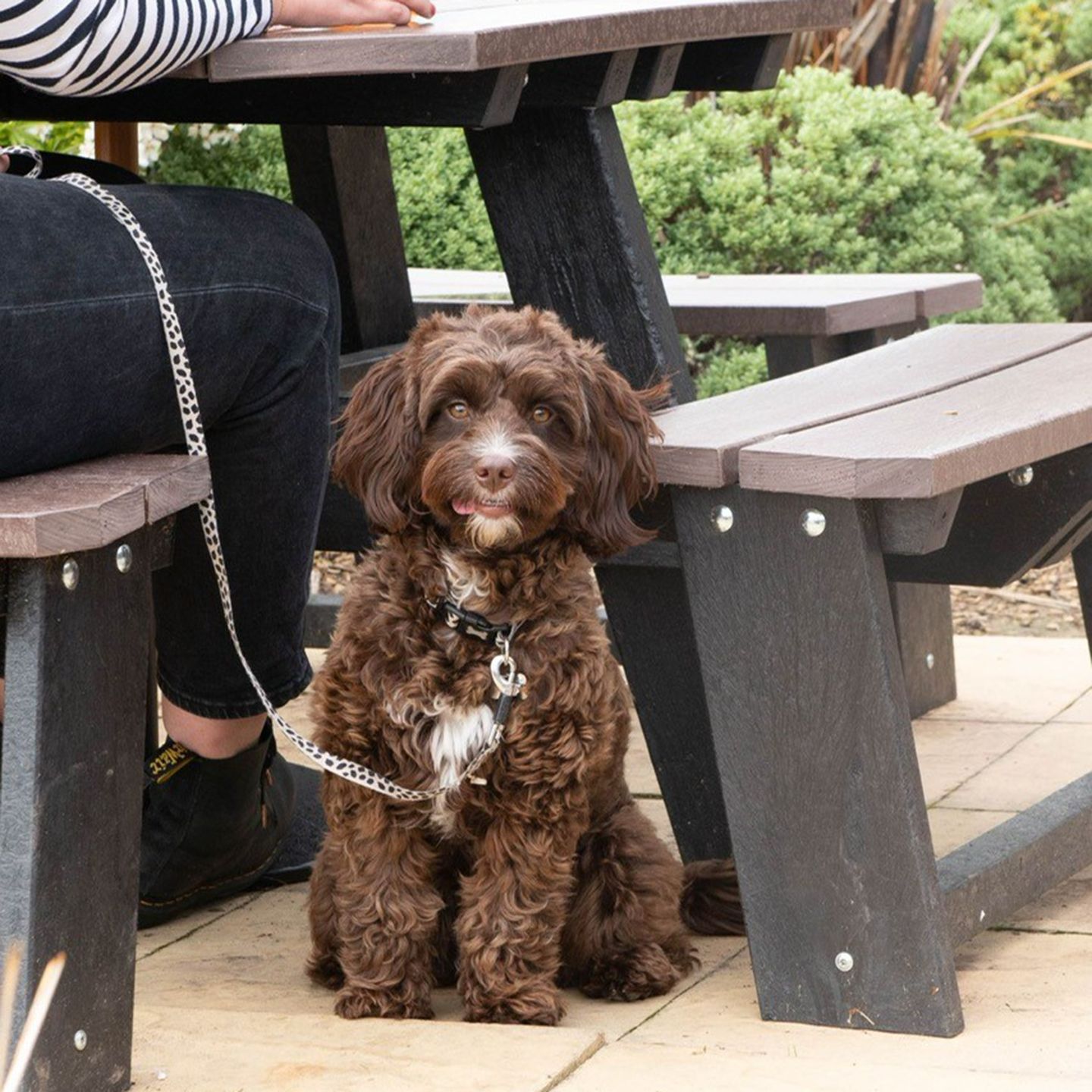 Your local dog friendly pub in Long Eaton